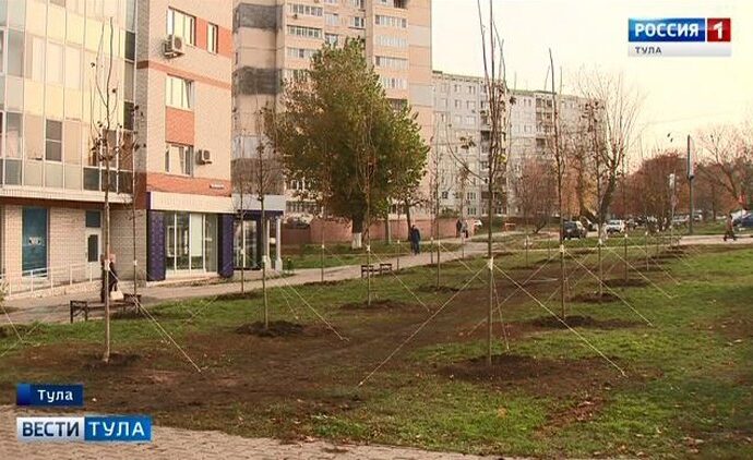 На улице Лейтейзена зашумят остролистные клены