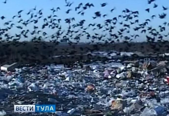 Современный полигон для мусора должен открыться под Тулой через год