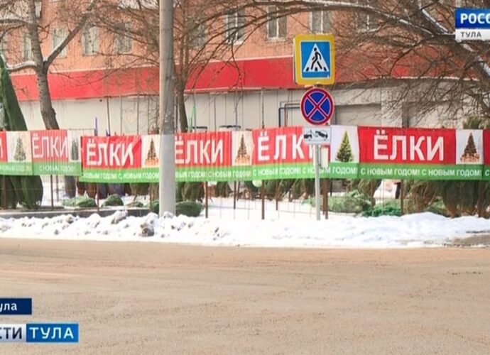 Почём ёлки в Туле?