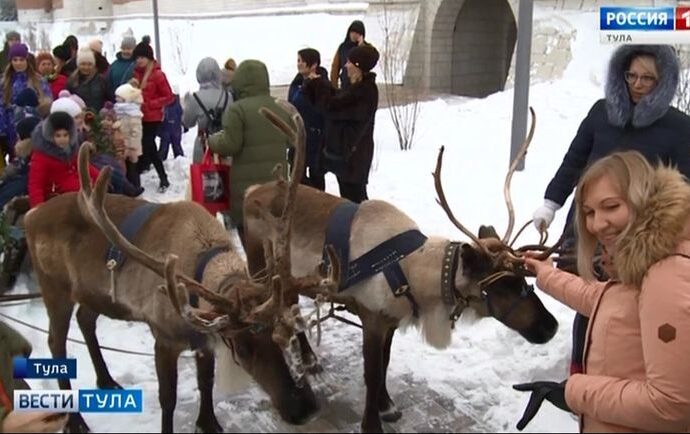 Чем туляки вознаградили оленей за катание?