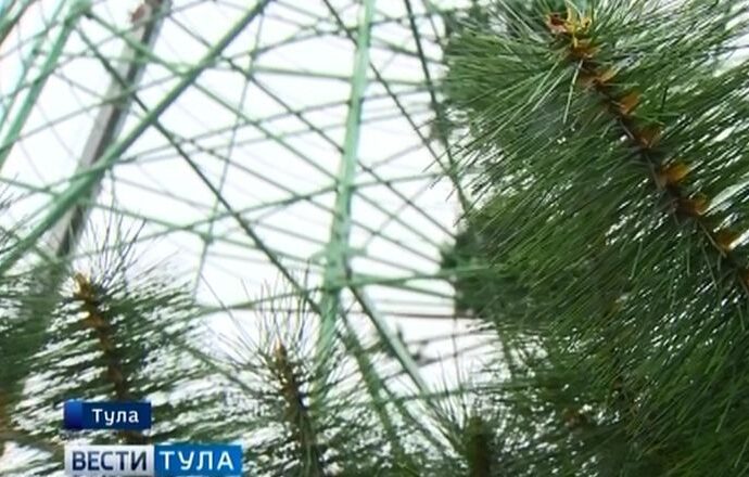 Что натворили вандалы в «Новогодней столице России»?
