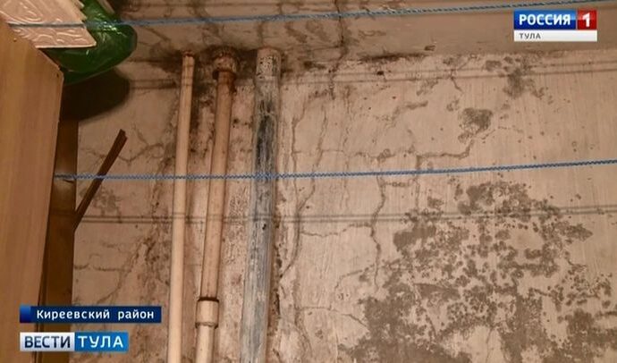 Киреевск: Есть ли жизнь среди вечной сырости и плесени?
