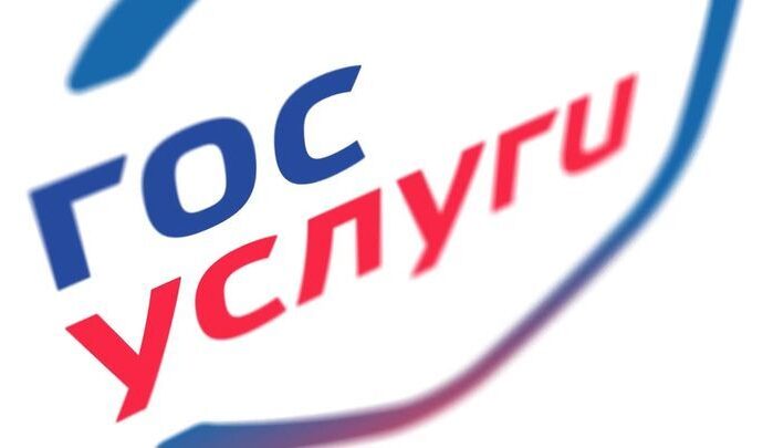 За 2018 год число обращений туляков на портал Госуслуг увеличилось вдвое