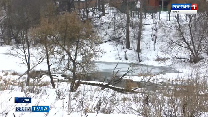 Рогожинский парк ждёт преображение