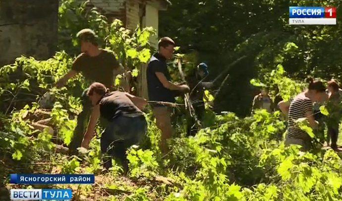 В Ясногорском районе взялись за восстановление парка усадьбы Федяшево