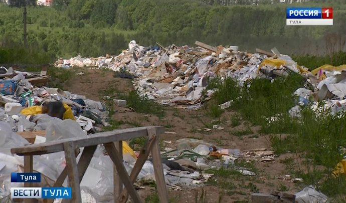На Северной Мызе свалка строительного мусора уходит за горизонт
