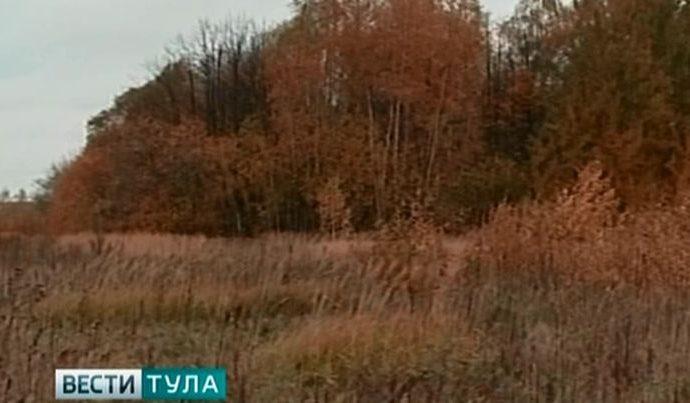 За сорняки на ясногорском поле суд оштрафовал краснодарскую компанию