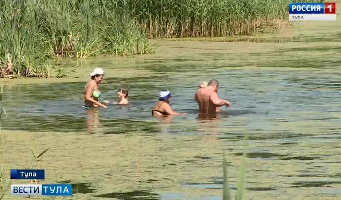 Пруд в селе Высоком затянуло бурой тиной. Можно ли в нем  купаться?