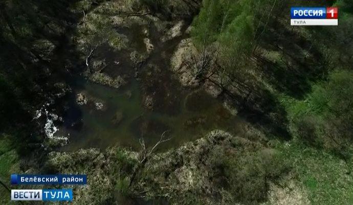 Тульские болота нуждаются в защите от человека