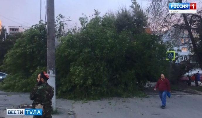 Упавшее дерево перекрыло улицу Кауля в Туле