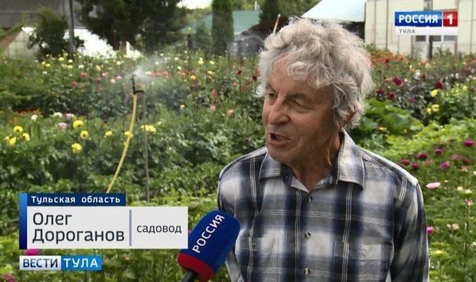 Как повлияет июльский холод на урожай?