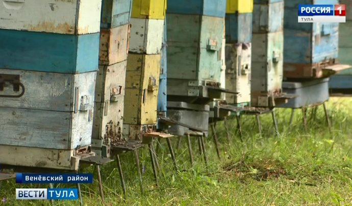 Венёвский район пополнил список территорий  с массовой гибелью пчёл