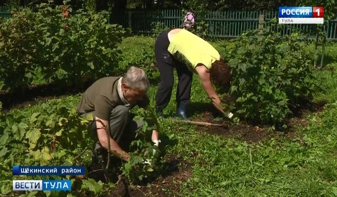 Волонтёры со всего мира приехали поработать в усадьбе Толстого