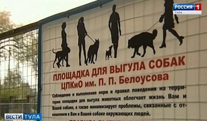 В Туле утвердили перечень площадок для выгула собак