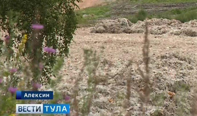 Жителей Алексина тревожит резкий химический запах
