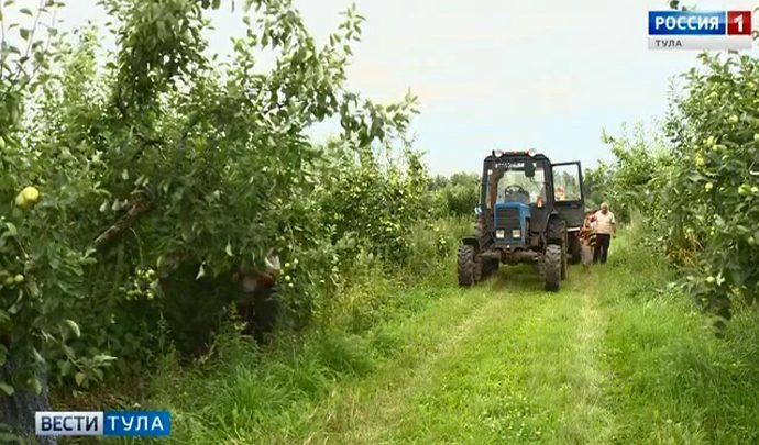 Владимир Путин наградил тульского агрария
