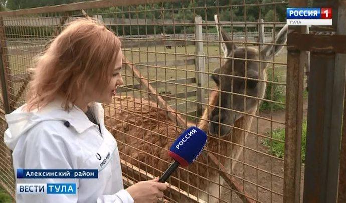 Вести Тула. Эфир от 07.08.2019 (20.45)