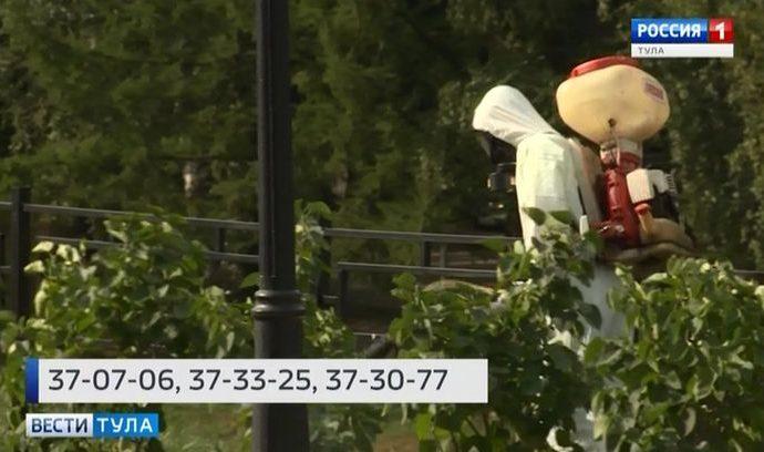 Клещи в Тульской области не ослабляют хватку: более 300 укусов за неделю
