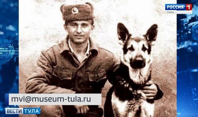 В Туле появится экспозиция, посвящённая собакам-героям
