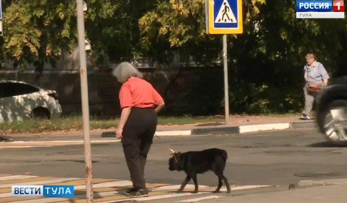 Сгорят ли надбавки у работающих пенсионеров?