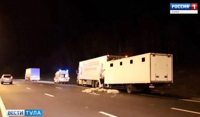 В ДТП погиб водитель грузовика, врезавшийся в фуру со свиньями