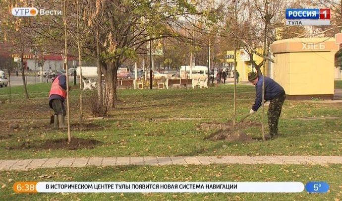 В Туле началось осеннее озеленение В Туле началось осеннее озеленение