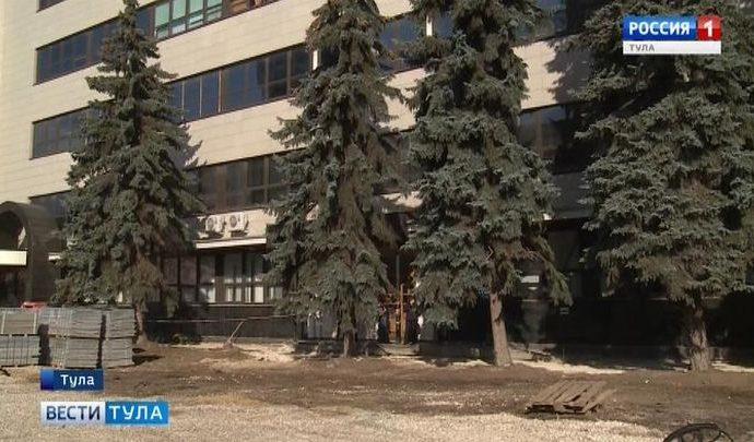 В Туле у главпочтамта срубили 50-летнюю ель