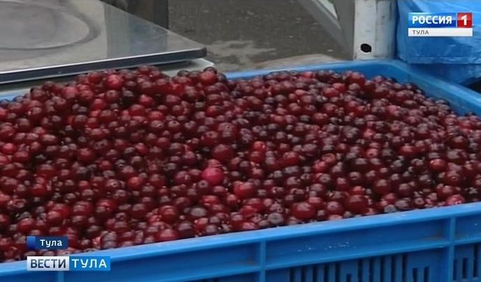 Как тулякам питаться осенью для укрепления здоровья?