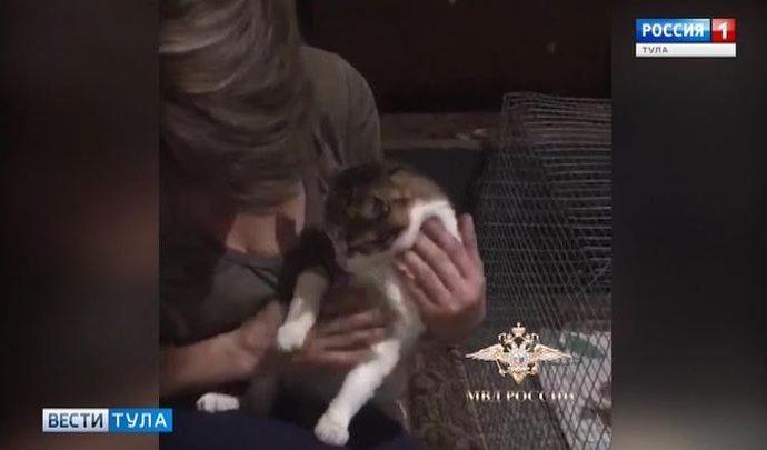 Тульские следователи потеряли «кота-наркокурьера»