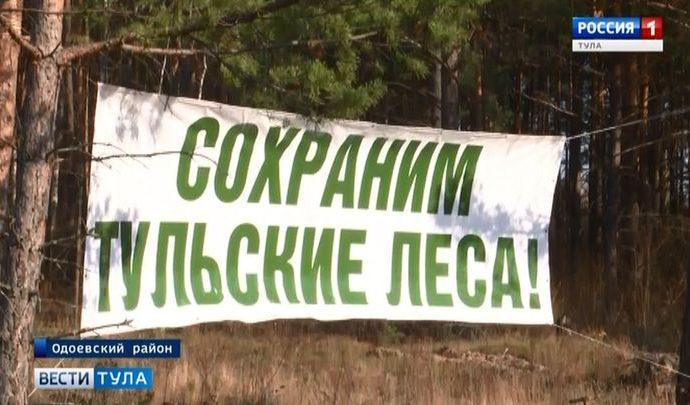 В Одоевском лесничестве после санитарной вырубки высадили сеянцы сосны
