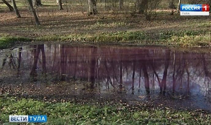 Сотрудник «Ясной Поляны» объяснил, почему вода в пруду стала фиолетовой