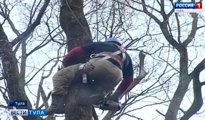 Спилить деревья на Всехсвятском кладбище Тулы помогли альпинисты