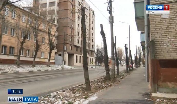 Кронирование деревьев вызывает много вопросов у туляков