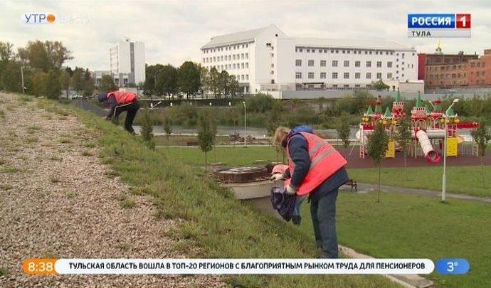 В Туле завершаются работы по осеннему озеленению
