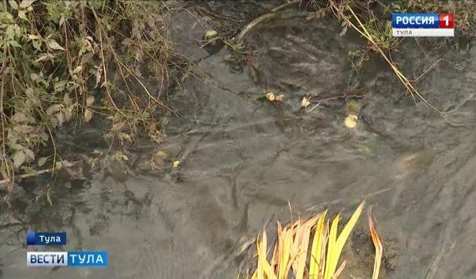 На реке Рогожне в Туле расчистили еще 30 метров русла