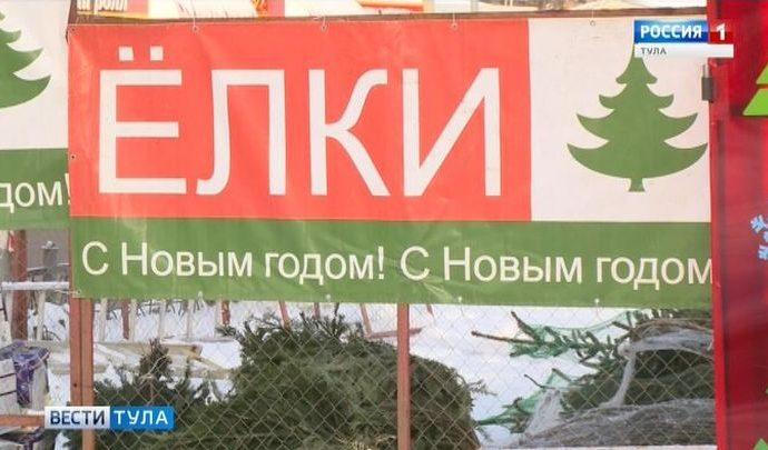 Елочные базары Тулы можно будет найти на интерактивной карте