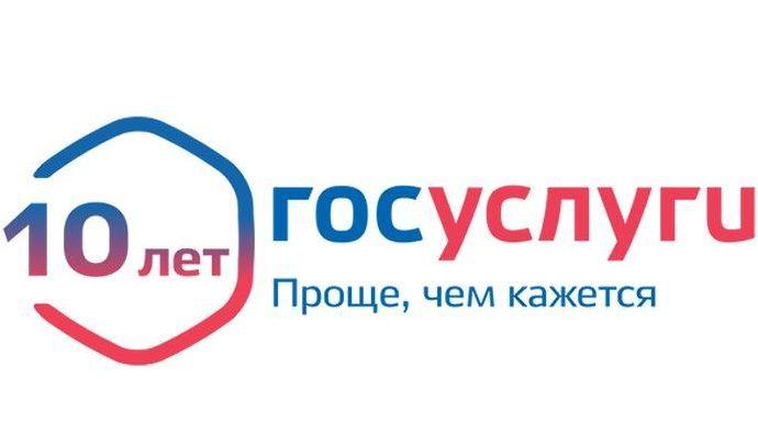 За 10 лет туляки подали свыше 2 млн. заявлений на портале госуслуг