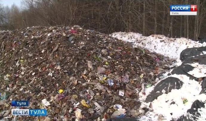 Кто уберет горы мусора с территории бывшей птицефабрики в Рассвете?