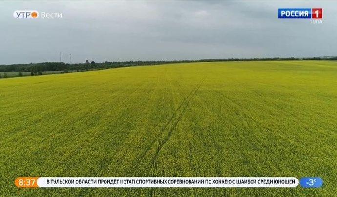 Тульских аграриев поддержат на два миллиарда рублей