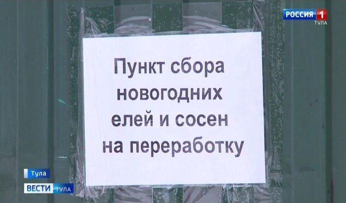 Туляки могут сдать ёлки на переработку