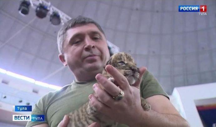 В тульском цирке появился на свет тигролев
