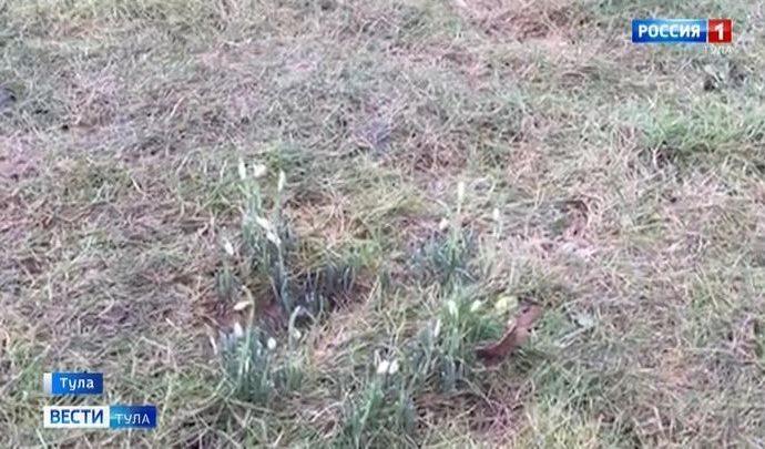 Февраль грозит тулякам похолоданием