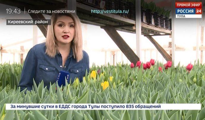 Россия 24 Тула. Эфир от 12.02.2020