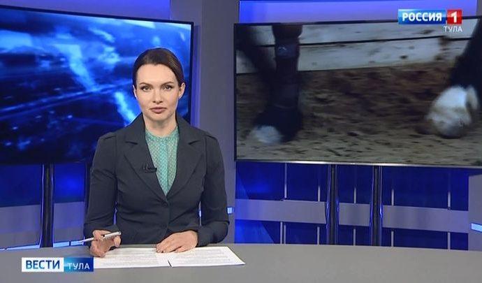 Вести Тула. Эфир от 13.02.2020 (20.45) Вести Тула. Эфир от 13.02.2020 (20.45)