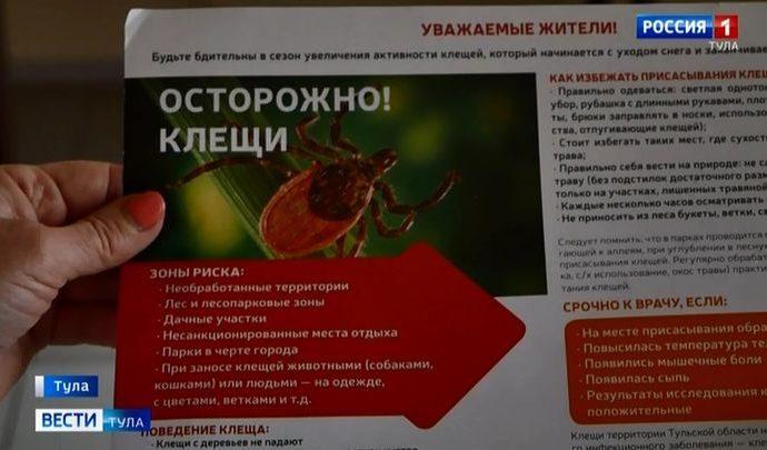 В Тульской области клещи проснулись пораньше