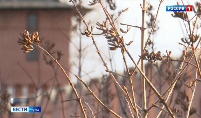 Февраль бьёт рекорды