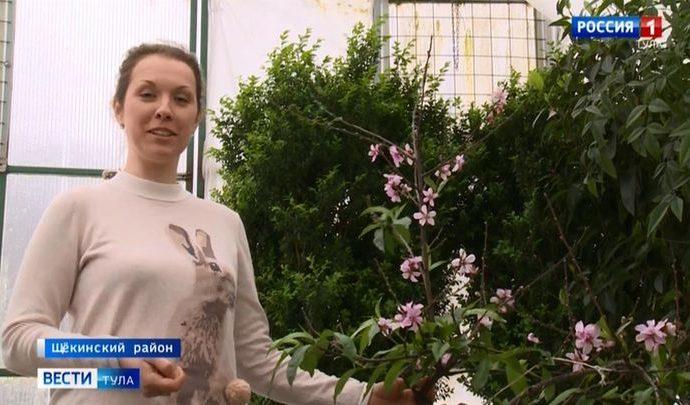 В теплицах «Ясной Поляны» царят тропики