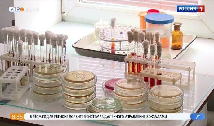 Можно ли предотвратить ВПЧ?