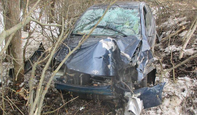 В Кимовском районе машину остановило дерево