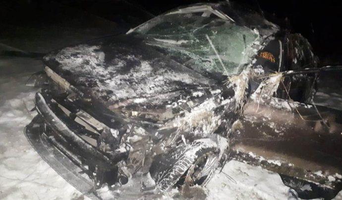 В Тульской области погиб водитель улетевшей в кювет иномарки
